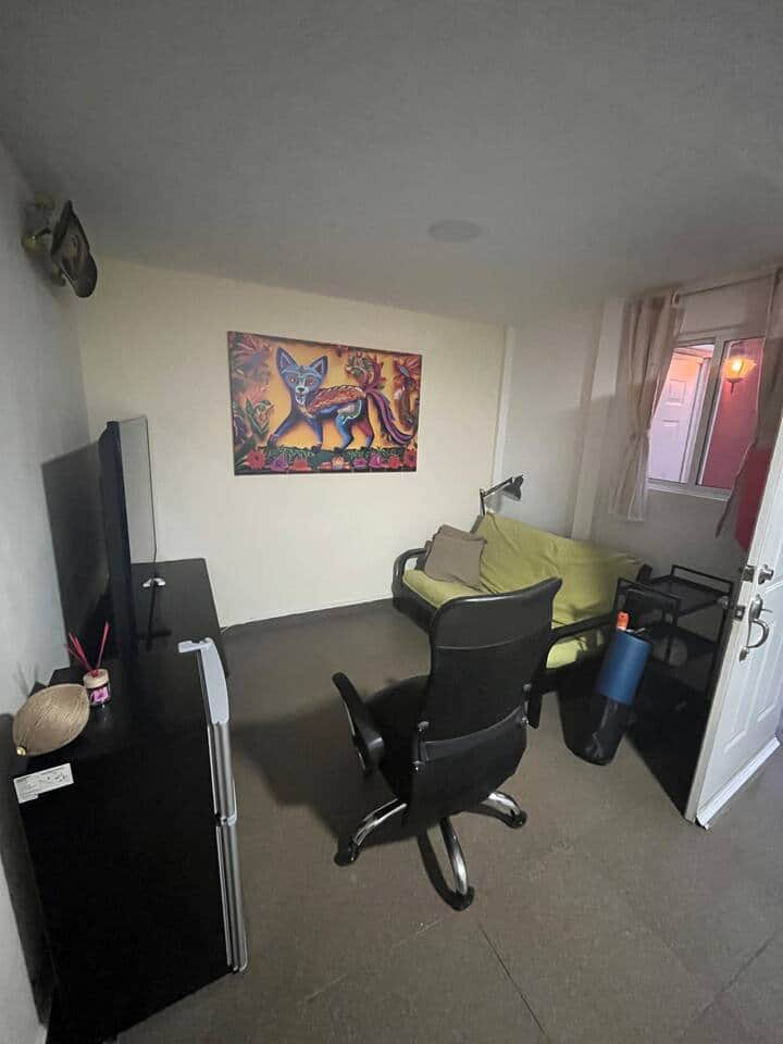 El Alebrije - Foto 8